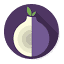 torhiddenwiki.com