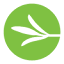 doctorteymouri.com