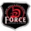 forcedefenseandfitness.com