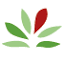 foretpriveefrancaise.com