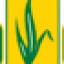 prograsslawncare.com