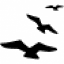 publicprocess.co.za