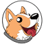 spacedogs.com.tr