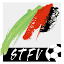 stfv.at