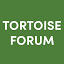tortoiseforum.org