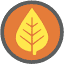 aspenautocare.com