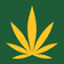 cannabis.net