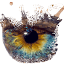 dreamdigitalimages.com