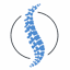 endoscopicspinefl.com