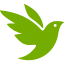 inaturalist.org