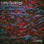 larrygoldings.bandcamp.com