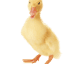 mooiwater.nl