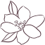 moonflowers.md