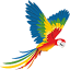 parrotm.com