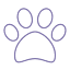 pawparazzidogs.com