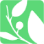 seedsofpeace.org