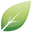 shinyleaf.com.mx
