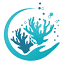 thecoralreefresearchhub.com