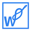 wazektomia.com