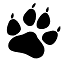 wholeprey.com