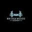 bridgewoodrecovery.com