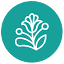 catelina.com.ec