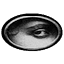 coveringphotography.com