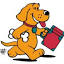 dontfretpet.com.au