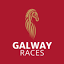galwayraces.com