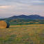 montanaranch.com