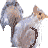 projectsquirrel.org