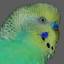 tierforen.net