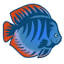 aquamagaz.ru