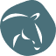 conequus.com