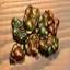 fireagate.ca