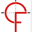 friesconsulting.us
