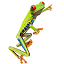 greenfrogadventures.com