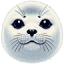 harpseals.org