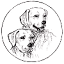 labrador.ru
