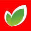 okmarket.ru