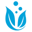 schuessler-salze-portal.de