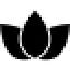 swcarizona.com