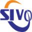 zjsivomotor.com