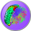 brainsuite.org