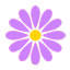 day-cosmos.jp
