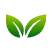 jomshow.com