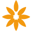 lazismu.org