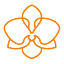 oranssihuone.fi