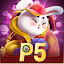 p5.com
