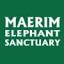 ***aoelephant.com